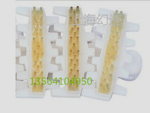 �����X��朊A�z