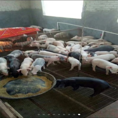 ����i��©�S�W