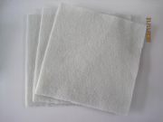 �I��100g������ʩ������