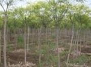 ����(y��ng)�ӱ���(gu��)�� ������(gu��)�� ��(gu��)��С��