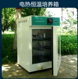 늟������B��