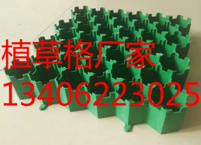 ����ֲ�ݸ�����ֲ�ݸ�