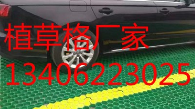 ����ֲ�ݸ�����ֲ�ݸ�