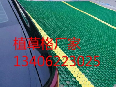 ���cֲ�ݸ񰲑cֲ�ݸ�