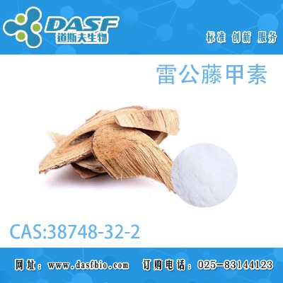 �׹��ټ���