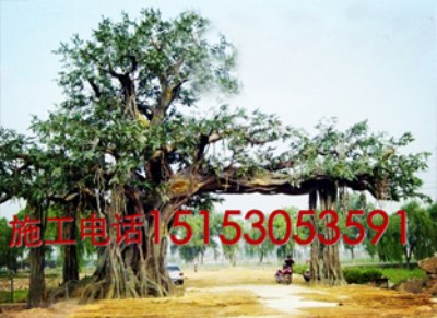 ���ݼ٘���T���b