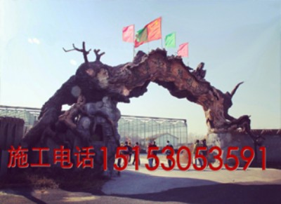 ��ꖼ٘���Tӆ��