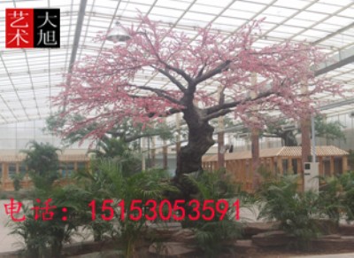 ɽ�|�٘�ˮ��٘�