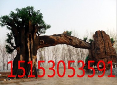 �����٘���T���b