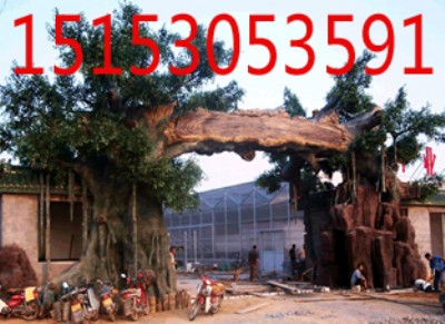 ���ݼ٘���T����