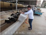 �׳��к��^�Ų���N��r��