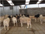 �����к��^�Ų���N��r��