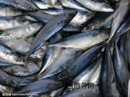 �M(j��n)�ں��rͨ�P(gu��n)��(b��o)�z�������uƴ���M(j��n)�ڴ���