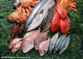 �����M��ˮ�aƷ���P��z���uƴ���M�ڴ���