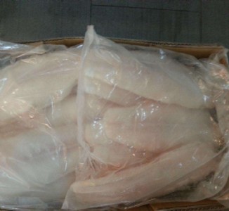 ���u�۰�ɳ�~�M�����P��Ҫ�����M��