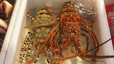 �����r��ˮ�aƷ���P��z������˾