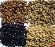 ����ơ������ѿ(�D)