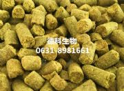 ����(gu��)��Ŭ�˾ƻ�,�M(j��n)�ھƻ������ơ�ƾƻ�