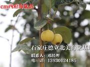 �rλ�����ı�������������|����(y��ng)�ӱ��N���ѵı�������������