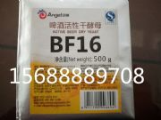 �����ɽ�ĸbf16