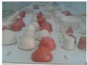 �tɫ��ӡ�C�z�^���a�S��(�D)