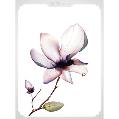 ����̼����ů�ů��dx-400