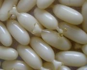 �������}ܛ�z�Ҽӹ�(�D)