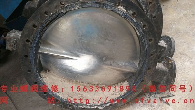 ���y�S��  ��ڏ����y�S��  ���͵��y�S��