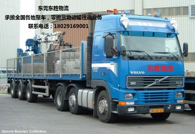 �|ݸֱ�_(d��)�ؑc��������������