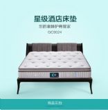 �Ƶ괲�|�������S�𺣰�Ʒ�ƴ��|