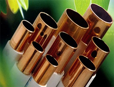 ����c1820�t��~�����l�t��~�������t��~��ڹ܏S��ֱ�N