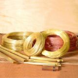 �|ݸʢԴ�S�~���S�ң��V��H65�����S�~�������~���r������