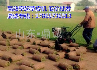 ɽ�|���σ��|��ƺ���Ƥ�C����ʽ���Ƥ�C�������Ƥ�C