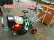 �����ܿ��Ԅ������ַ���ƺ��ֲ�C�S�ҵ̓rֱ�N