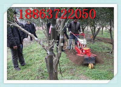 �_�ϙC �и� ��@����C ΢���C�r��