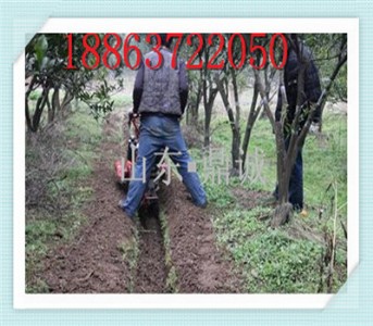 ���z�\�ӈ��غ������ƺ����Ą����C