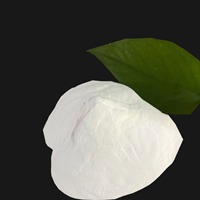 �����V  ���I(y��)�������V  �����V���|(zh��)�p��