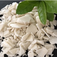 �Ȼ��V  ��ˮ�Ȼ��V���I��  �uƬ