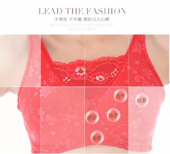 2016�K�ݵك|����Ʒ�����x�����؏S��ֱ�N����