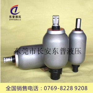 ����(y��ng)����,�|ݸ,����NXQA-4/31.5-Lϵ����ʽ������