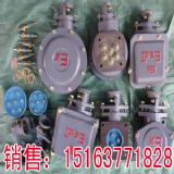 ���������߉�늙C�Ӿ���(�D)