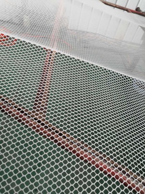 �����W ���o���־W