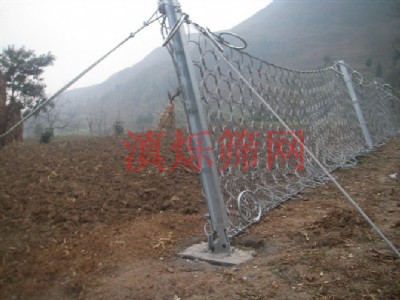 ����sns߅�·��o(h��)�W(w��ng)�S��ֱ�N1