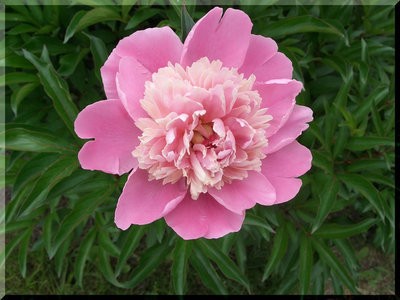 �^�p��ˎ�Nֲ����ˎ�������l�r��