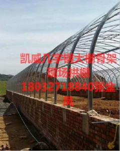 �M�����п͑����������ƵĎ���䓹Ǽ�