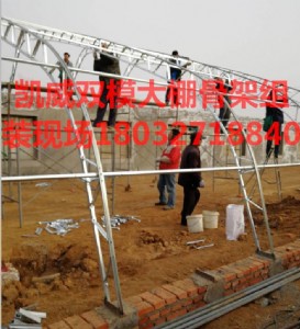 100���p���pĤ����Ǽ�18�׿�ȸ߶Ȟ�6��