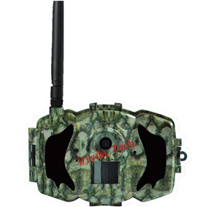 diydaƷ��3000�f�����]�����żt�����C