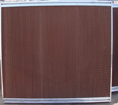 �B(y��ng)�i��(ch��ng)�i�ή����\ˮ���ĽY(ji��)��(g��u)