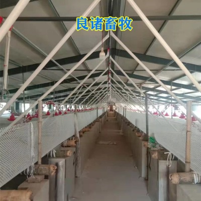 �B�i�����i���Ԅ�ι���O��g���Ͼ�������