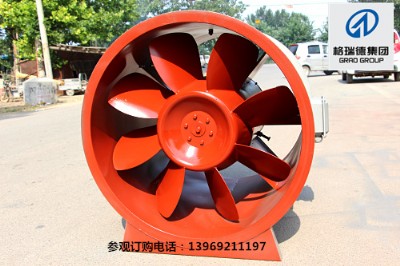 swf�����L�C�S��